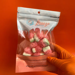 Mini Watermelon Slices 25g - freeze dried candy uk