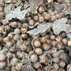 Junior Caramels - Freeze Dried Sweets