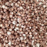 Infinions Cola - Freeze Dried Sweets | Vegan Vegetarian and Gluten Free