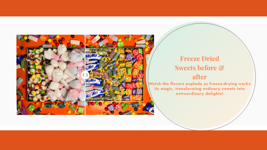 Wholesale Freeze Dried Sweets